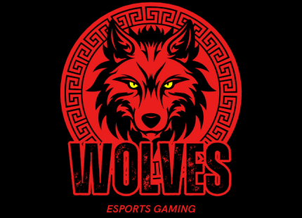 Mascot Logo Design
